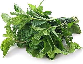 PRODUCE Mint Bunch