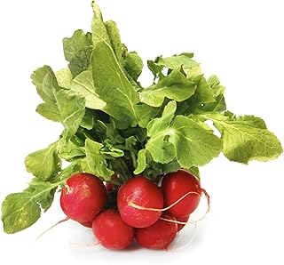 Root Radish Red Organic, 1 Bunch