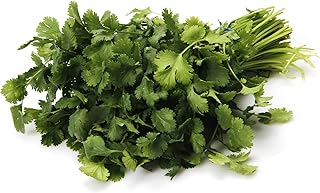 Herb Cilantro Conventional, 1 Bunch