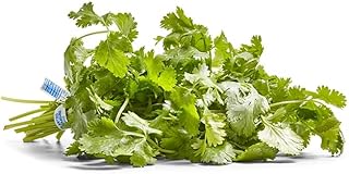 Herb Cilantro Organic, 1 Bunch