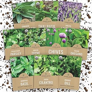 Organic Herb Seeds Variety Pack - 10 Individual Packs - 2025 Season - Basil, Cilantro, Dill, Thyme, Parsley and More! for Indoor & Outdoor Planting (Non-GMO, Certified Organic)